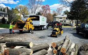Best Firewood Processing and Delivery  in Machias, WA