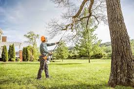 Best Lawn Maintenance Plans  in Machias, WA